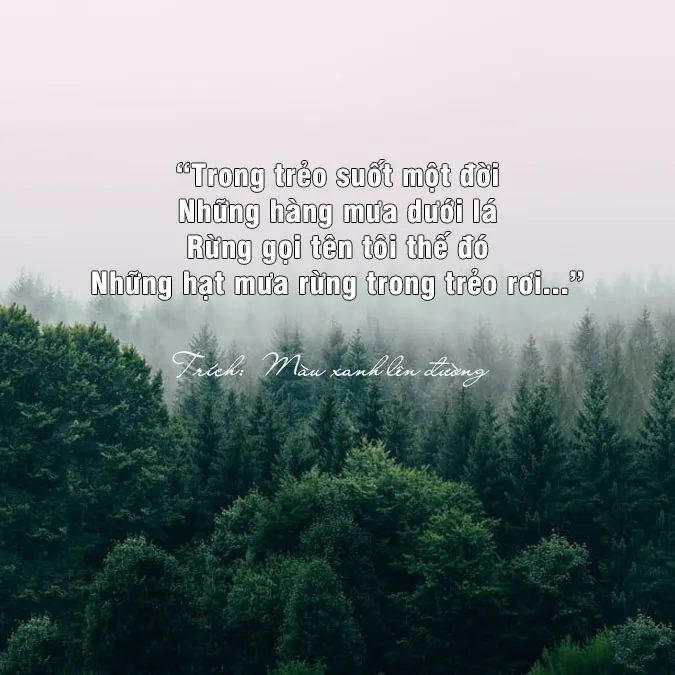 Top những bài thơ về núi rừng thiên nhiên hùng vĩ
