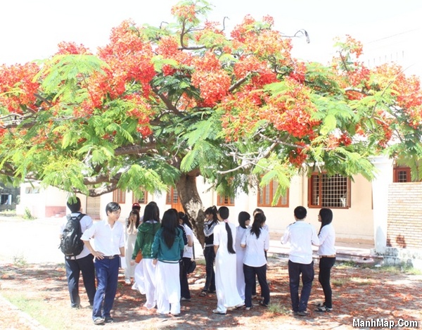 Chào Tháng 5 với loạt Thơ Tình Tháng Năm hay, nồng nàn nhất