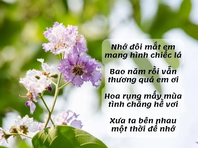 tho-ve-hoa-bang-lang-voh-2