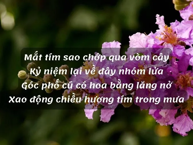 tho-ve-hoa-bang-lang-voh-3