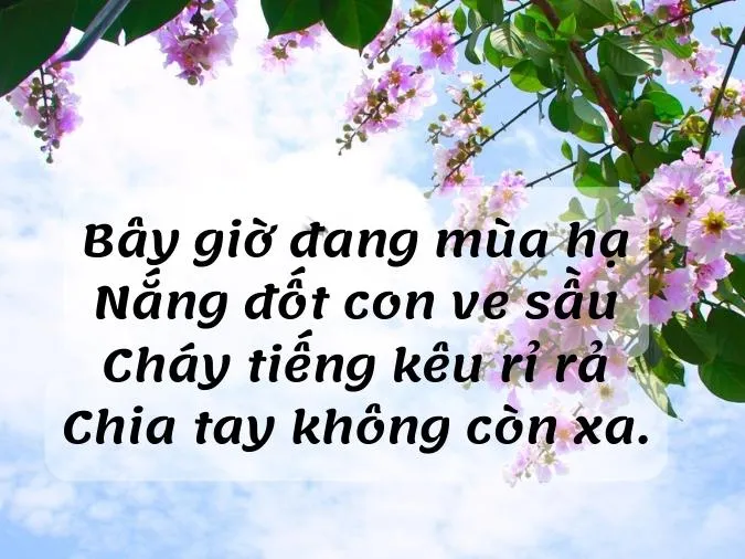 tho-ve-hoa-bang-lang-voh-4
