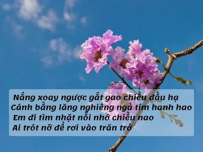 tho-ve-hoa-bang-lang-voh-5