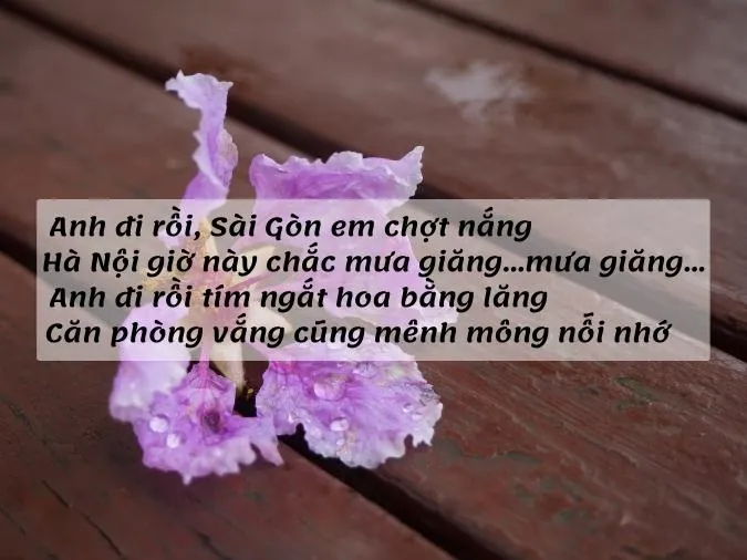 tho-ve-hoa-bang-lang-voh-6