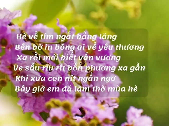 tho-ve-hoa-bang-lang-voh-7