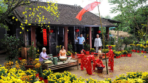 Hoa mai đón xuân