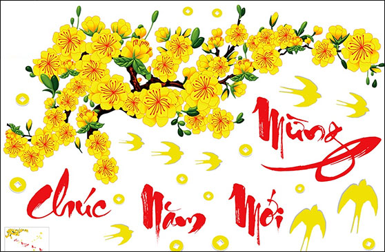 Mai vàng đón tết