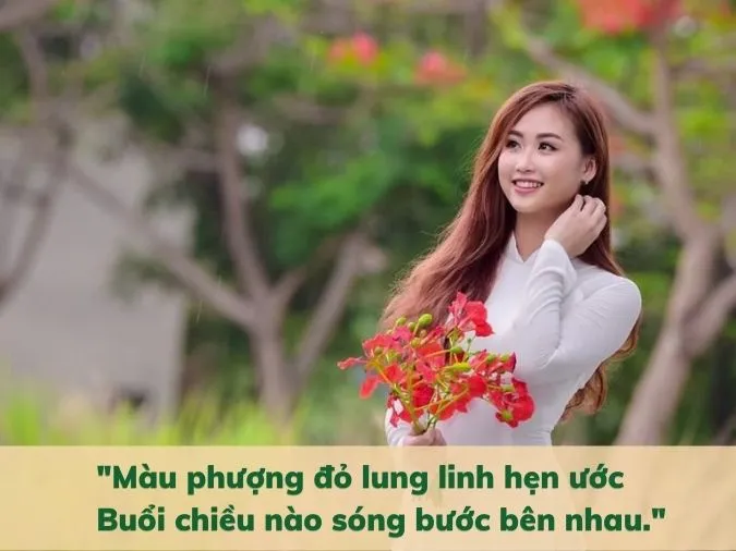 Top 15 bài thơ về hoa phượng tuyển chọn ấn tượng 4