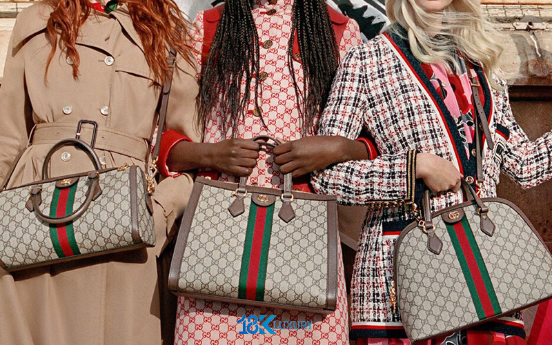 tui gucci (1)