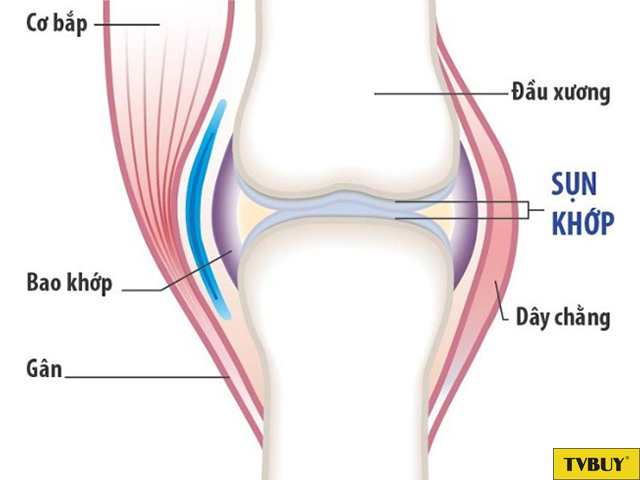 Những điều cần biết về cốt hóa xương