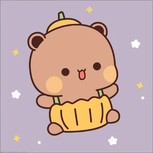 Avatar gấu cute, đáng yêu 2025