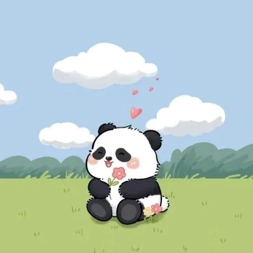 Avatar gấu cute, đáng yêu