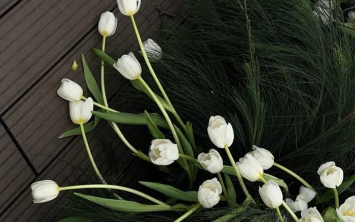 anh hoa tulip dep