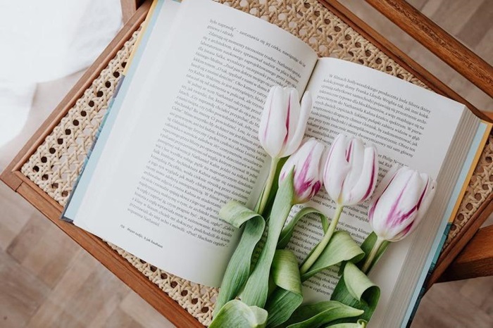tải ảnh nền hoa tulip cho máy tính đẹp nhất