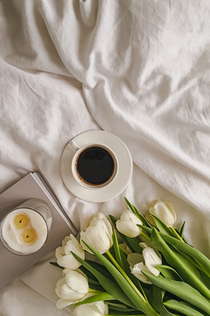 anh nen hoa tulip chill
