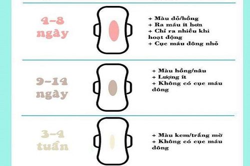 Bế (tắc) sản dịch sau sinh: Nguyên nhân, triệu chứng