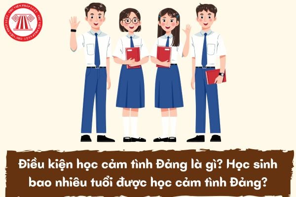 Điều kiện học cảm tình Đảng là gì? Học sinh bao nhiêu tuổi được học cảm tình Đảng?