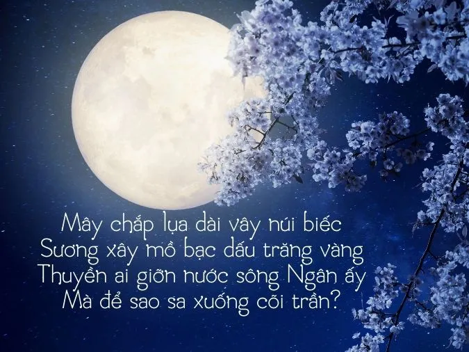 tho-che-lan-vien-voh-1