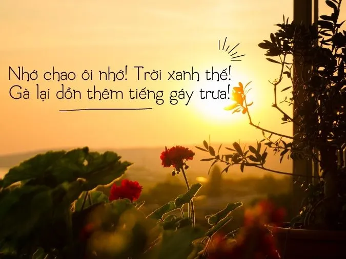 tho-che-lan-vien-voh-10