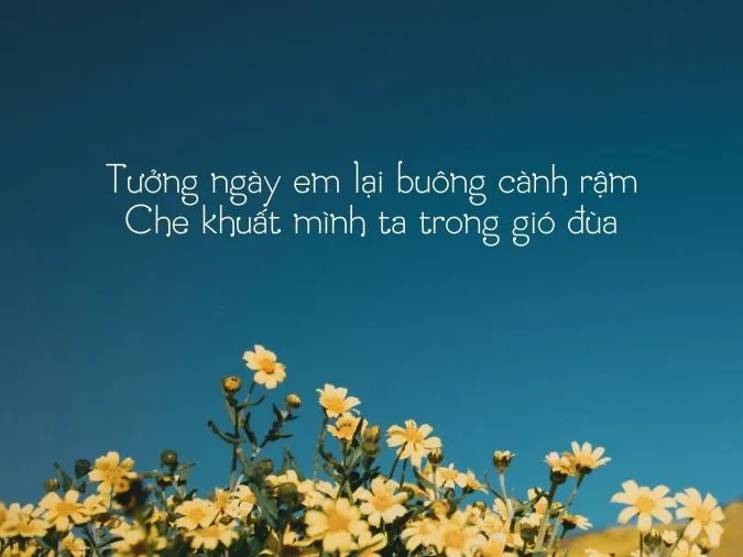 tho-che-lan-vien-voh-11
