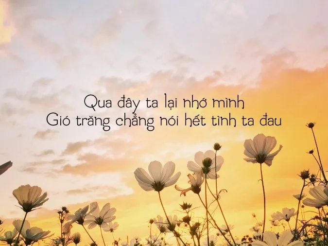 tho-che-lan-vien-voh-12