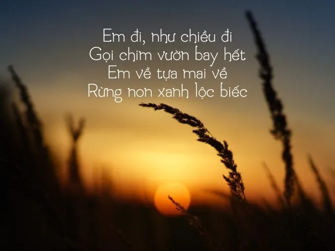 tho-che-lan-vien-voh-13