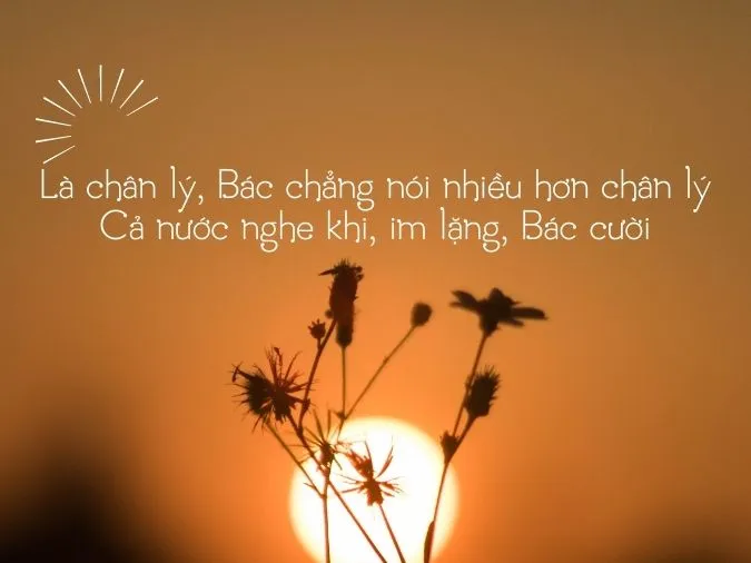 tho-che-lan-vien-voh-15