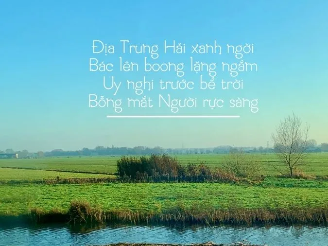 tho-che-lan-vien-voh-18