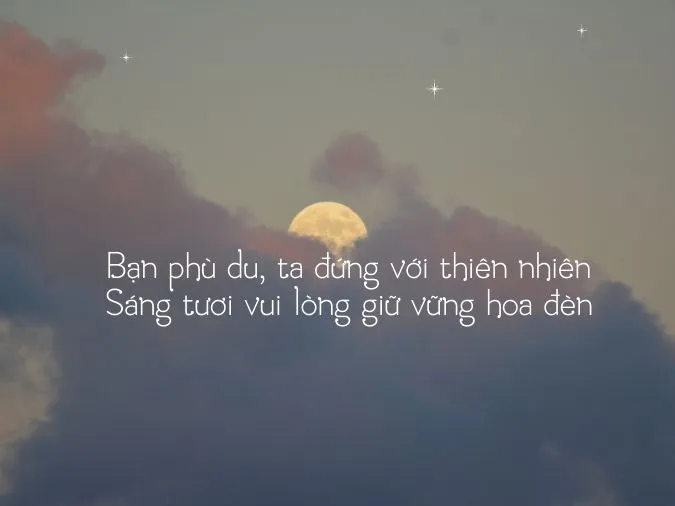 tho-che-lan-vien-voh-2