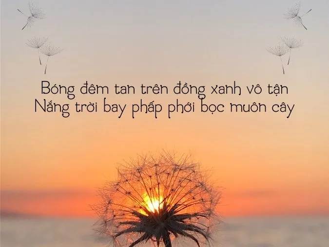 tho-che-lan-vien-voh-3
