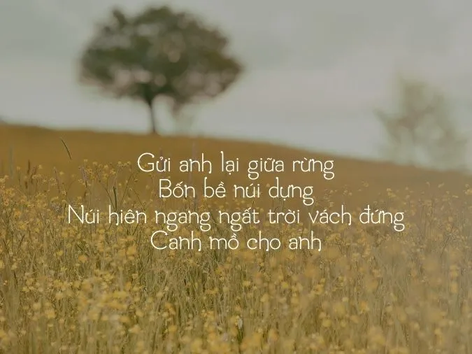 tho-che-lan-vien-voh-6