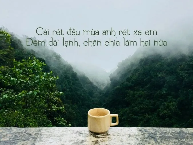tho-che-lan-vien-voh-9