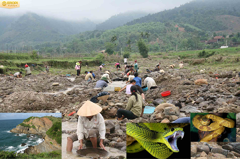 nơi khai thác loại đá này là nơi cư trú của nhiều loài rắn độc
