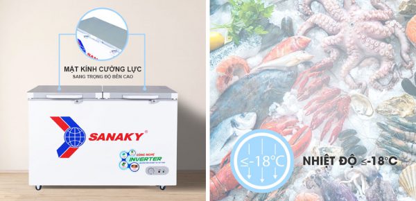 Tủ đông mặt kính cường lực Sanaky