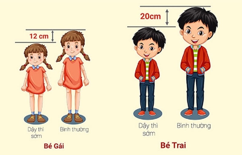 Tin tức