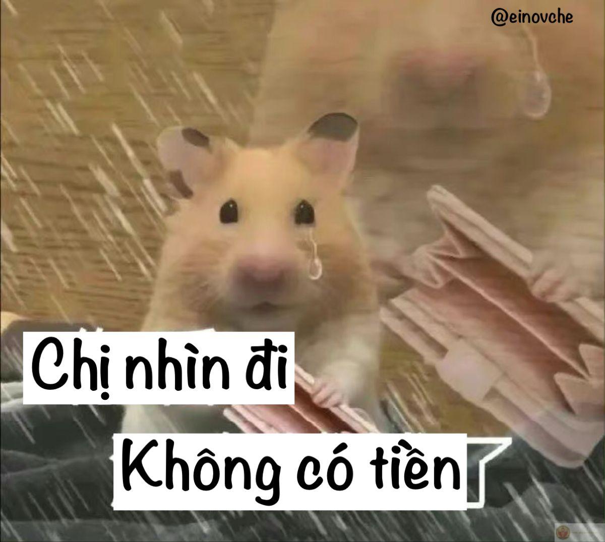 Loạt hình chế tiền nè tạo hiệu ứng viral nhờ sự dí dỏm gần gũi đời thường