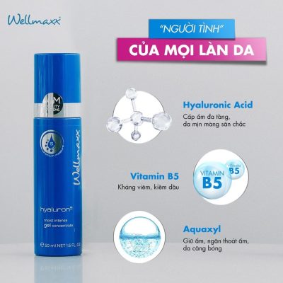 Gel dưỡng ẩm phục hồi Wellmaxx Hyaluron Moist Intense Gel Concentrate