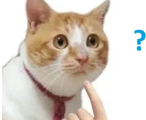 không meme