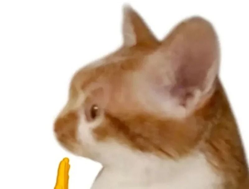 không meme