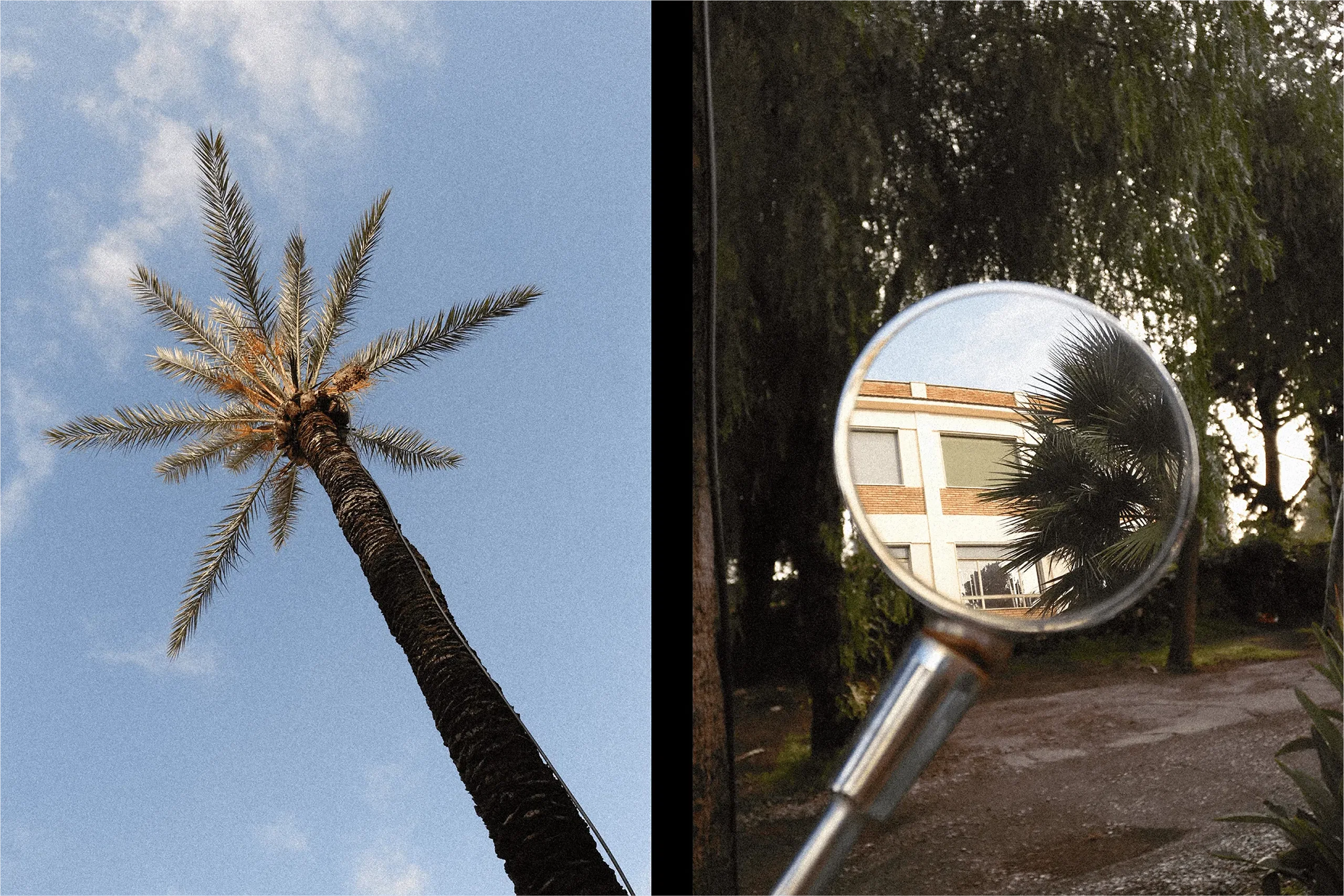 Chế độ Diptych trên Fuji X-Half