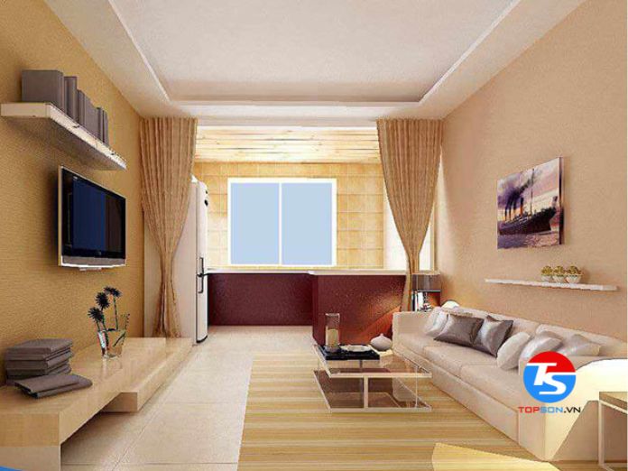 Sơn màu nâu đất cho phòng khách