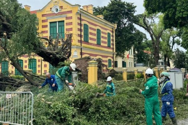 Vì sao mẹ thiên nhiên “nổi giận”?