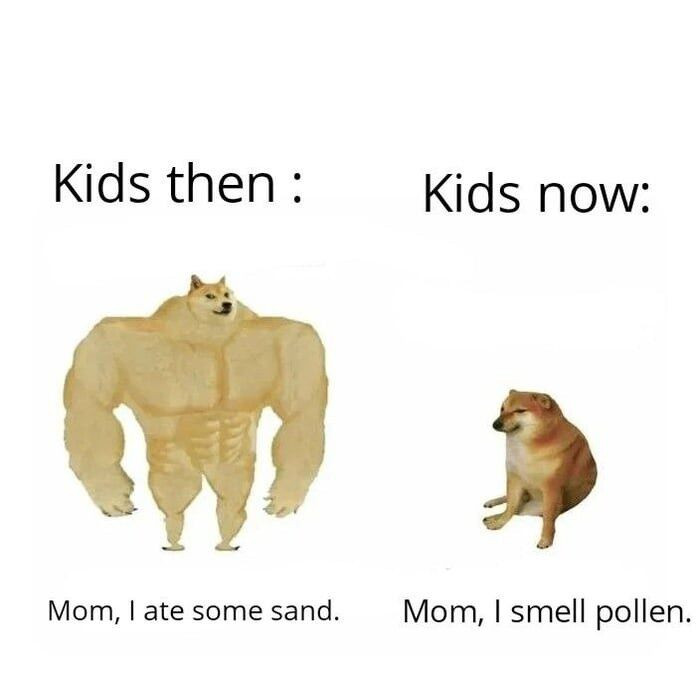 Chú chó nguyên gốc của Meme Cheems nổi tiếng-9