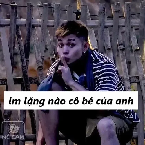 Khi lời xin lỗi hóa thành meme “im lặng nào cô bé” siêu cưng
