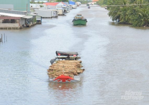 Trở lại vùng đất 'muỗi kêu như sáo thổi, đỉa lềnh tựa bánh canh'
