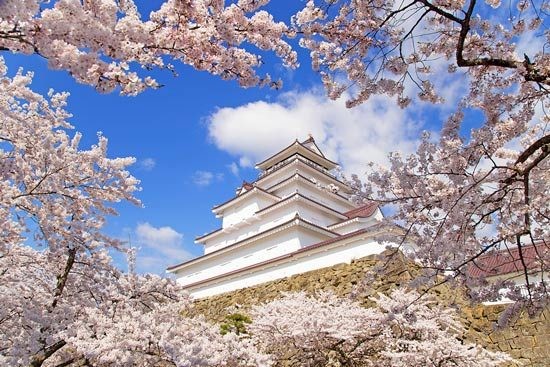 Những địa điểm Ngắm hoa Anh đào Hàng đầu ở Fukushima Hướng dẫn Khu vực Aizu Khu vực trung tâm Khu vực ven biển Mùa xuân