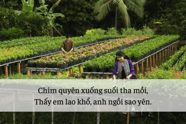 Tổng hợp 70+ bài thơ ca dân gian theo từng giai đoạn tình yêu