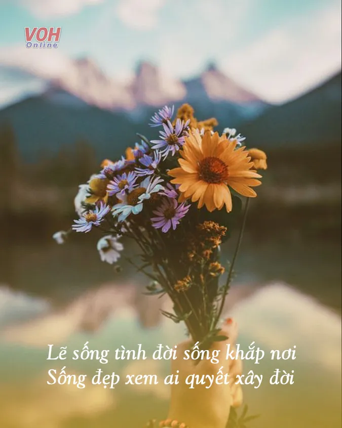suy-ngam-ve-cuoc-doi-voi-17-bai-tho-ve-kiep-nguoi-y-nghia-voh-1