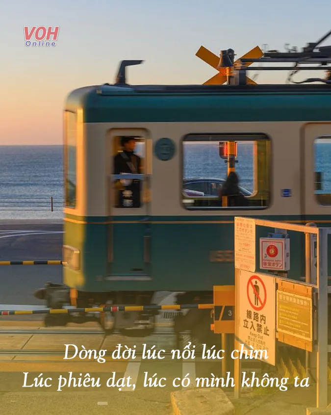 suy-ngam-ve-cuoc-doi-voi-17-bai-tho-ve-kiep-nguoi-y-nghia-voh-2