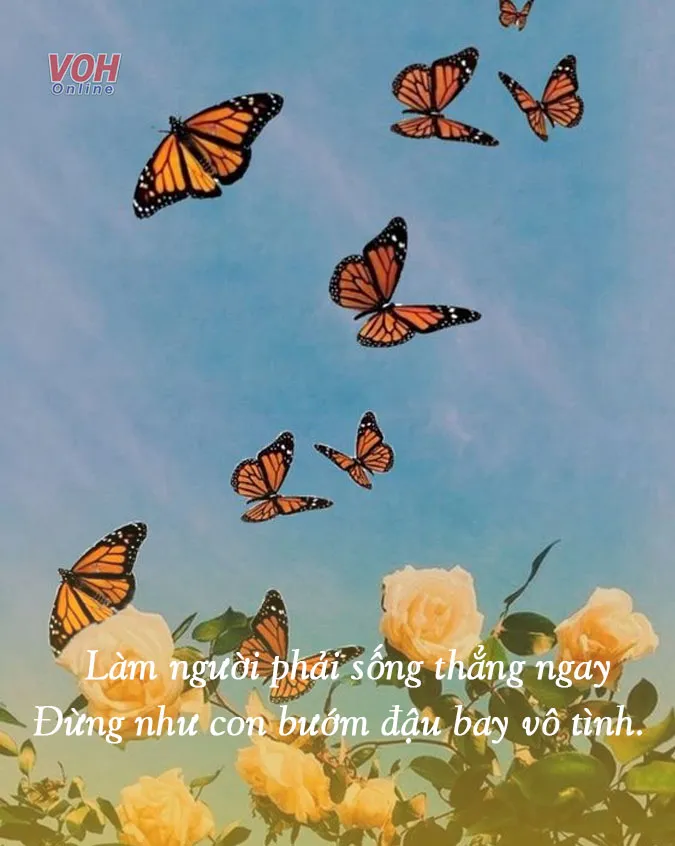 suy-ngam-ve-cuoc-doi-voi-17-bai-tho-ve-kiep-nguoi-y-nghia-voh-3