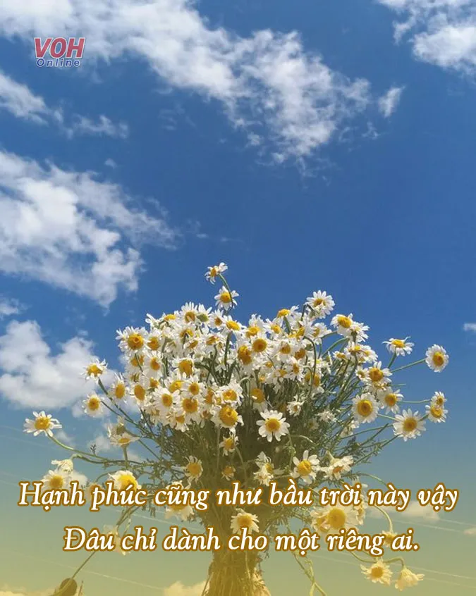 suy-ngam-ve-cuoc-doi-voi-17-bai-tho-ve-kiep-nguoi-y-nghia-voh-4